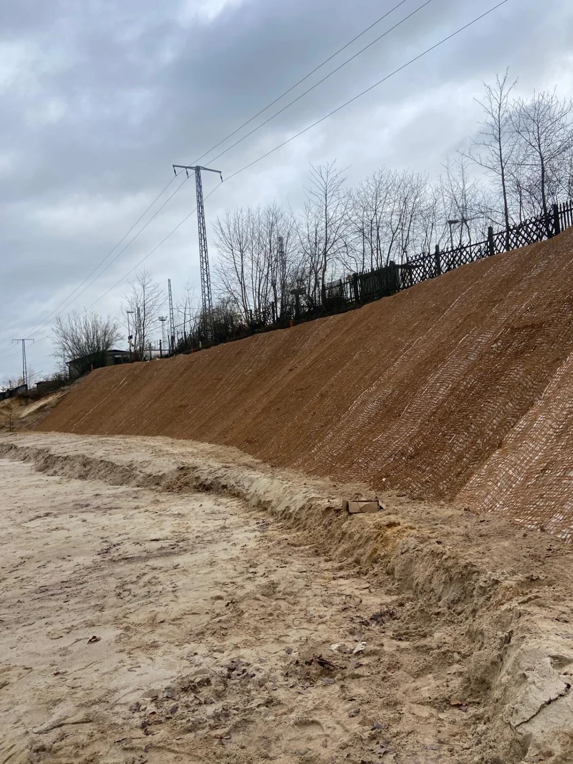 Hangbefestigung von Baum-Land-Forst 