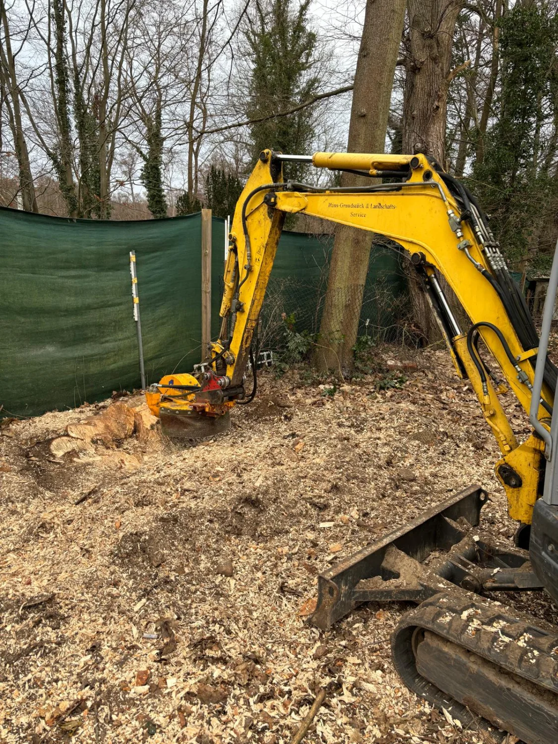Stubbenfräsen von Baum-Land-Forst 
