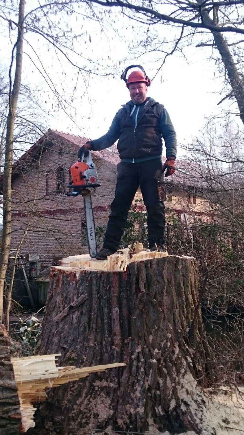 Baumfällung von Baum-Land-Forst 