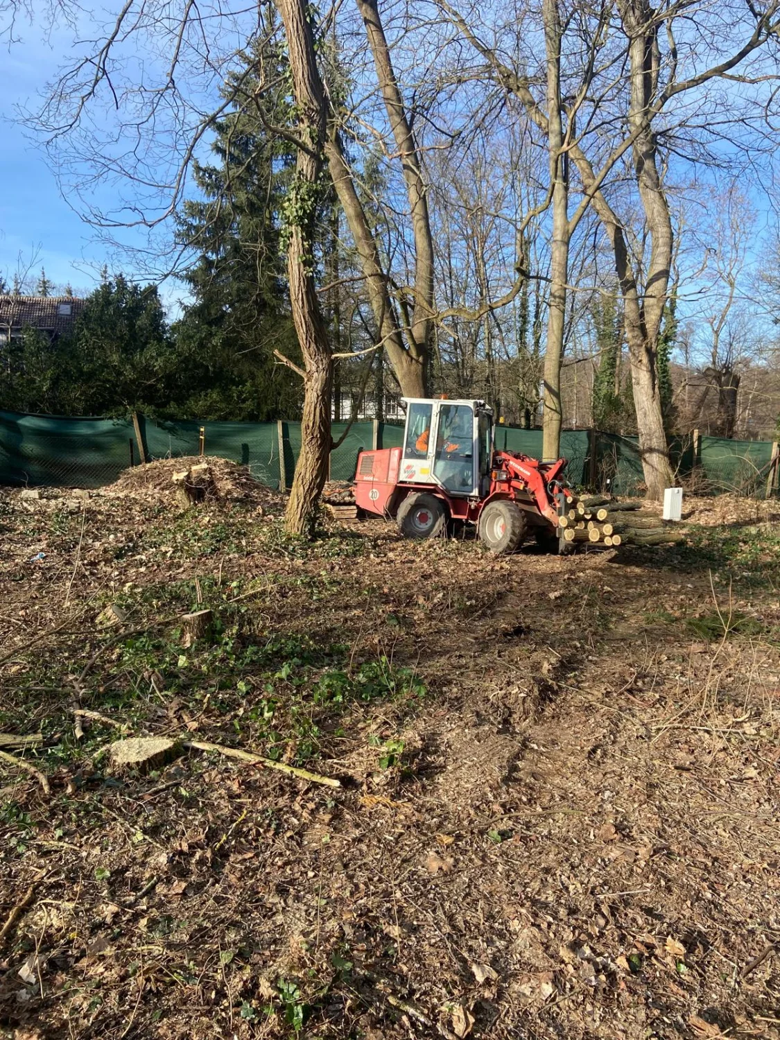 Baufeldberäumung von Baum-Land-Forst