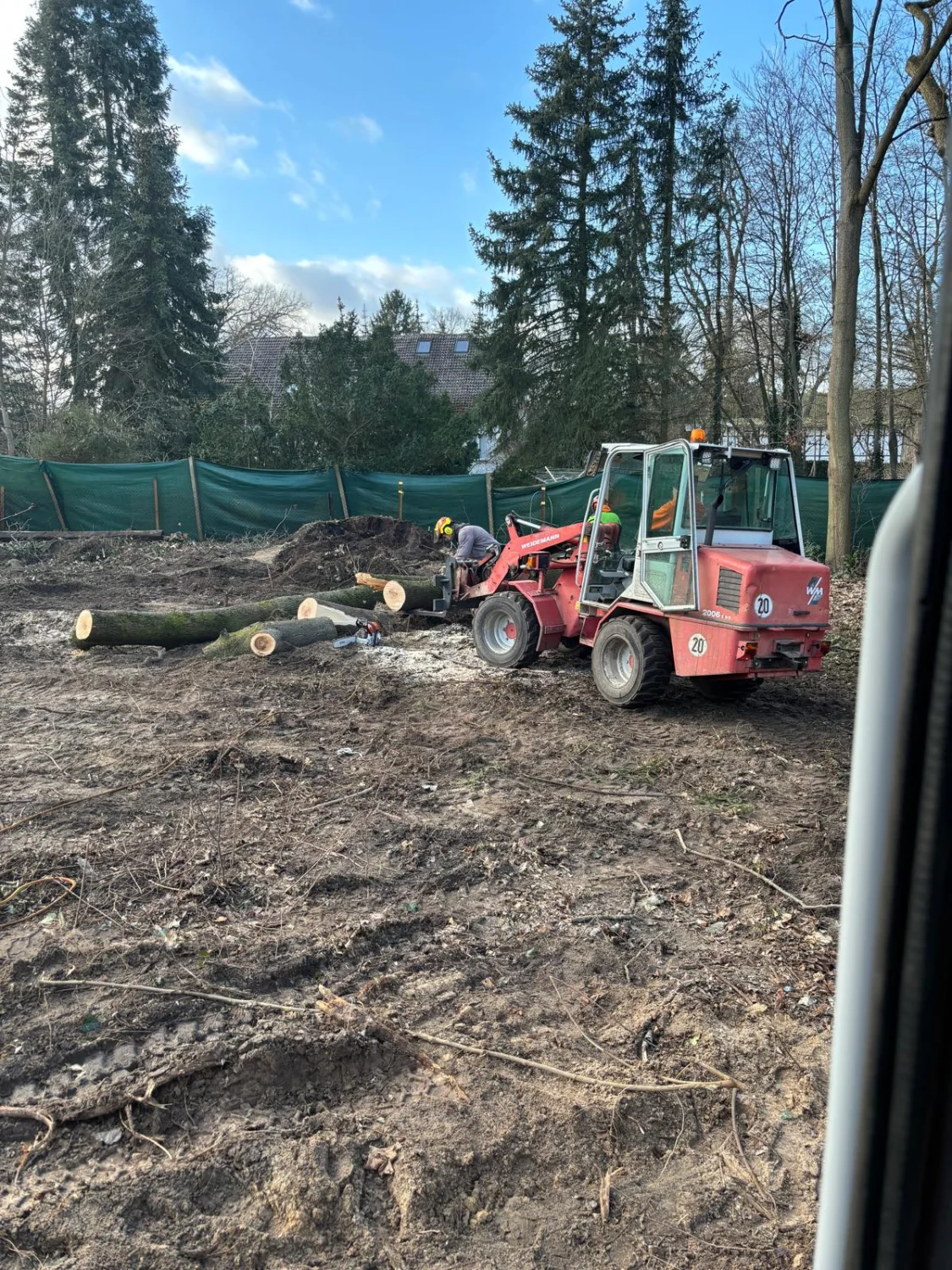 Baufeldberäumung von Baum-Land-Forst