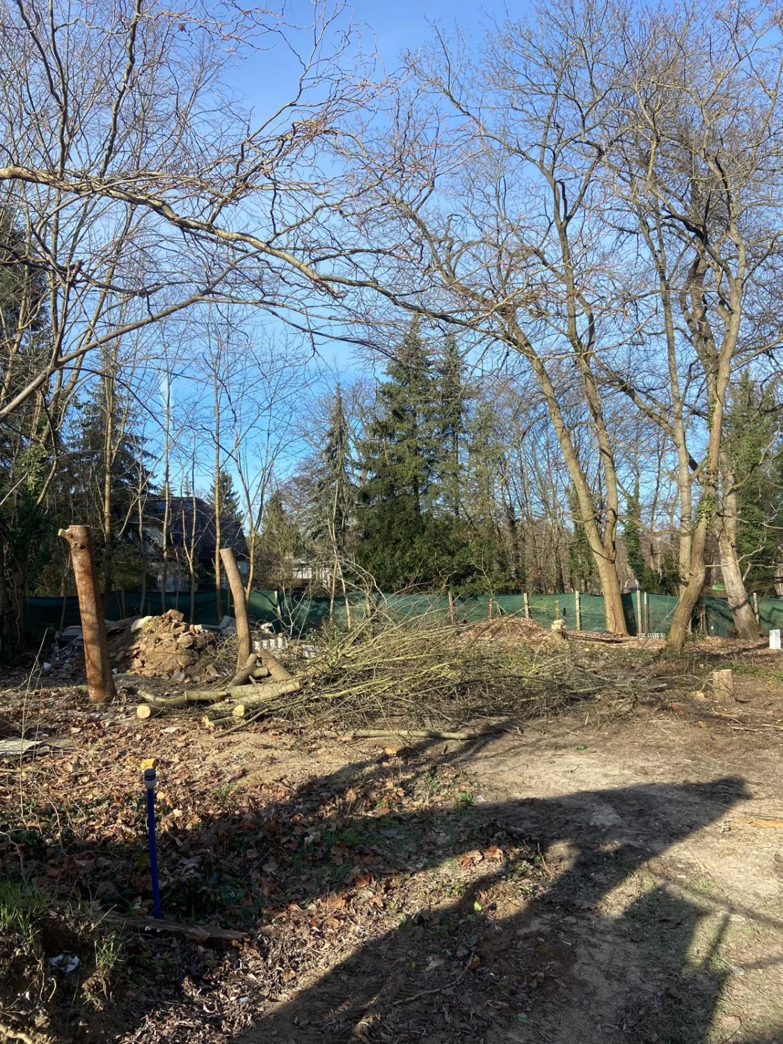 Baufeldberäumung von Baum-Land-Forst